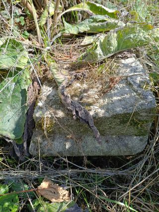 Piedras para casa