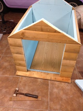 Caseta de perro