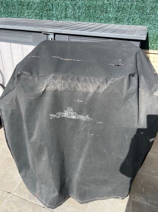 Barbacoa de Gas