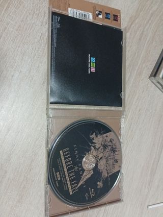 Final fantasy XIV before the fall
