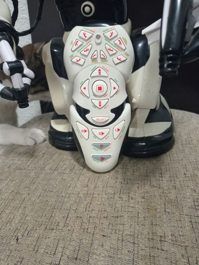 Robot con mando