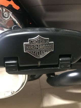 Coppia di fregi Harley Davidson
