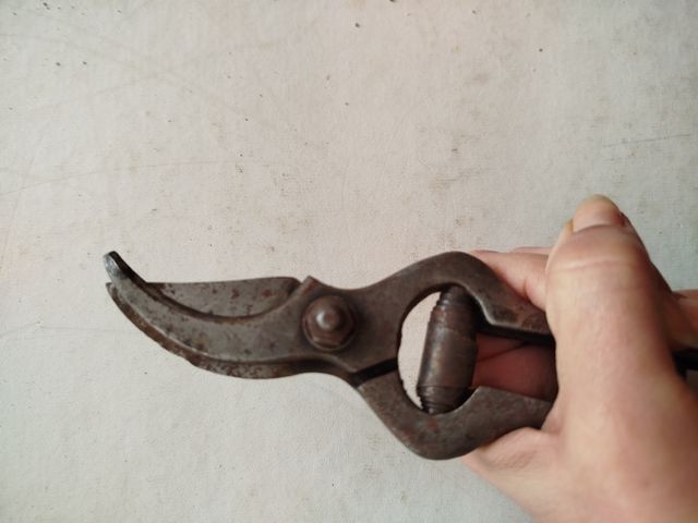 Forbici da potatura antiche