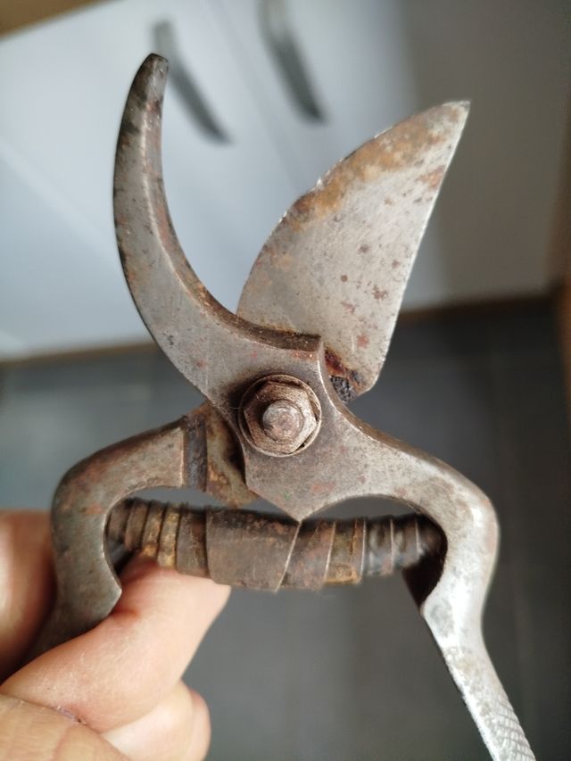 Forbici da potatura antiche