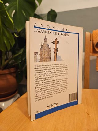 Lazarillo de Tormes (Biblioteca Didactica Anaya) (Spanish Edition)