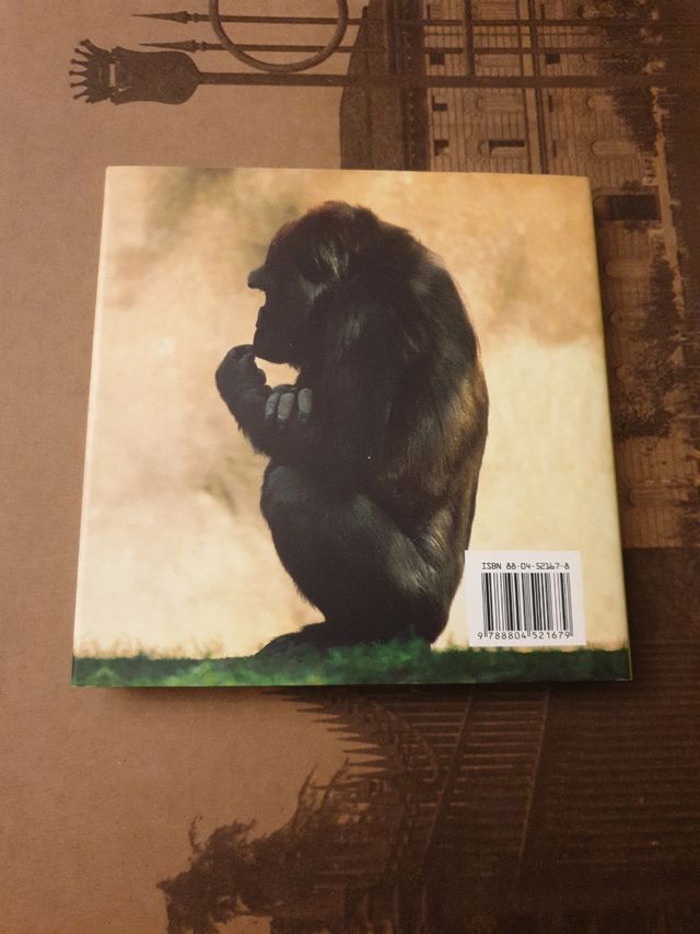 Il senso della vita. Ancora coccole