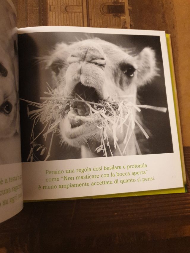 Il senso della vita. Ancora coccole