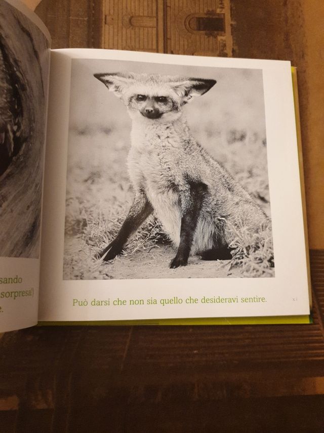 Il senso della vita. Ancora coccole