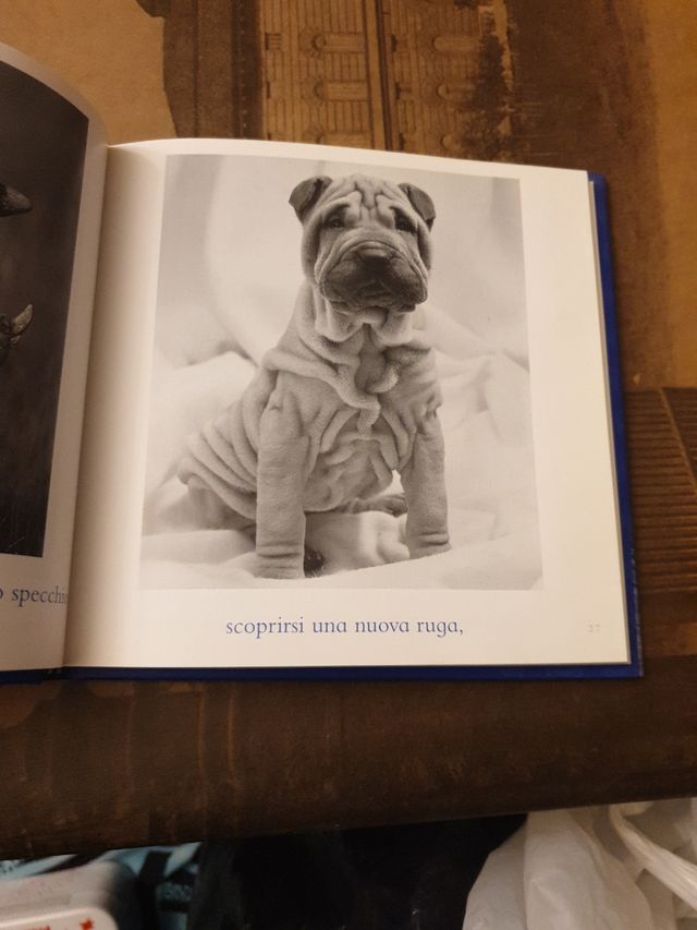 Il libro blu delle coccole