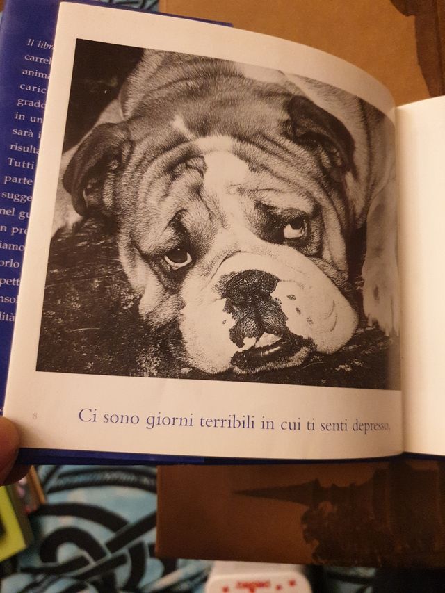 Il libro blu delle coccole