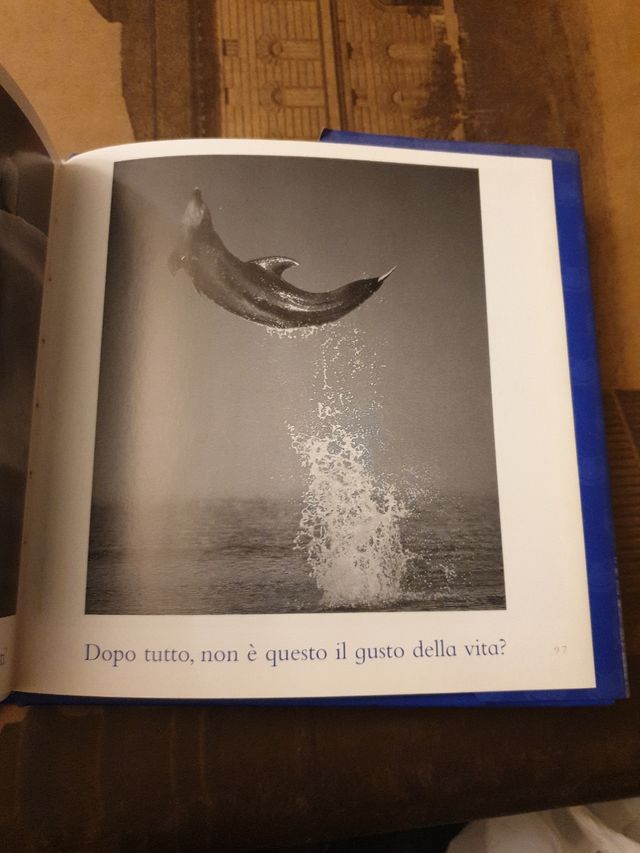 Il libro blu delle coccole