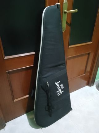 Guitarra eléctrica mas funda