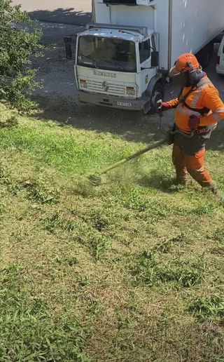 Limpieza de parcelas poda de árboles 