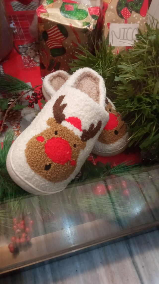 Zapatillas casa diferentes tallas 36 hasta 41