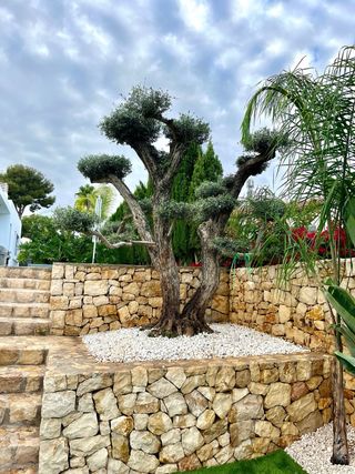Servicio de mantenimiento y montajes de jardines 