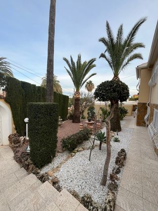 Servicio de mantenimiento y montajes de jardines 