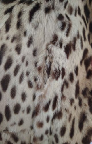 Chaquetón Piel gato oriente vintage 
