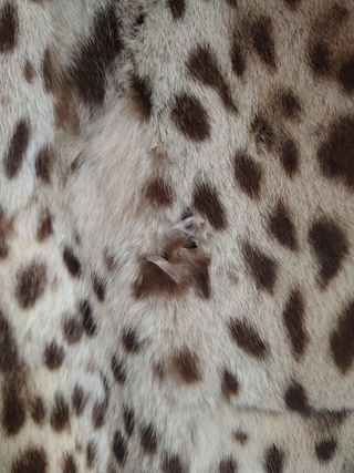 Chaquetón Piel gato oriente vintage 