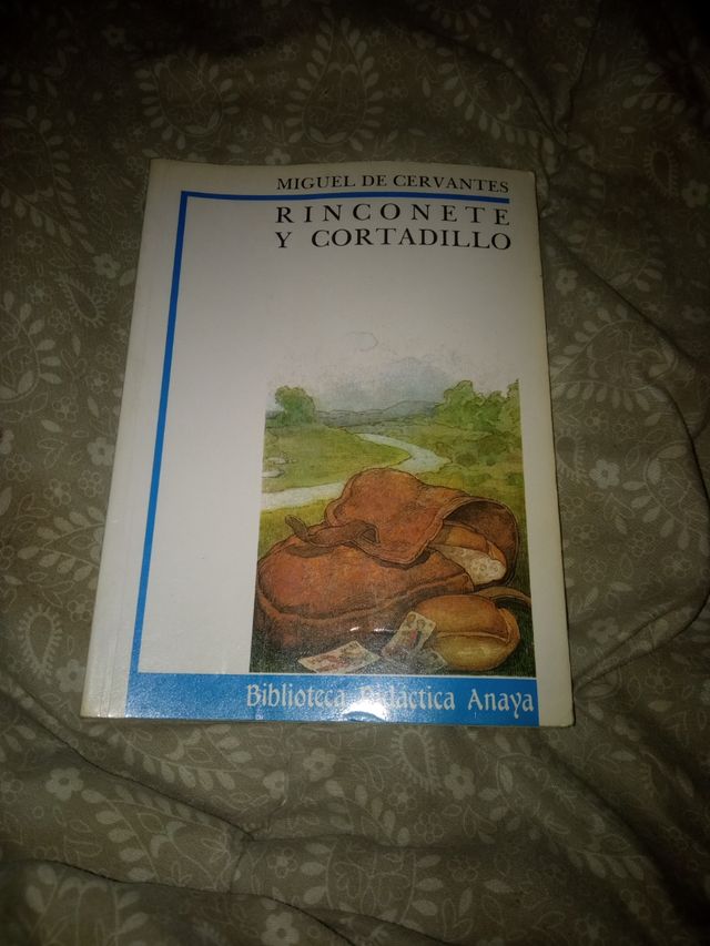 Libro rinconete y cortadillo