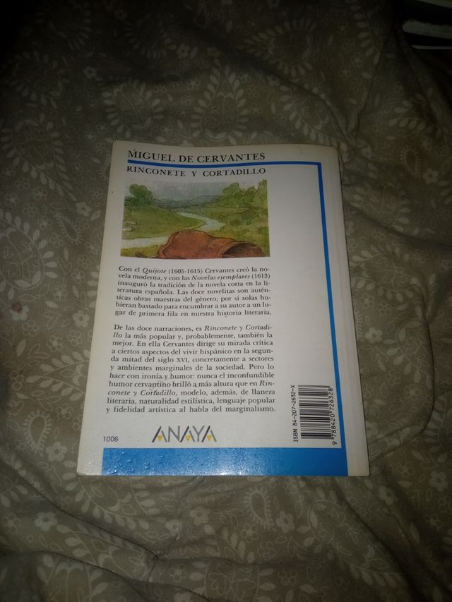 Libro rinconete y cortadillo