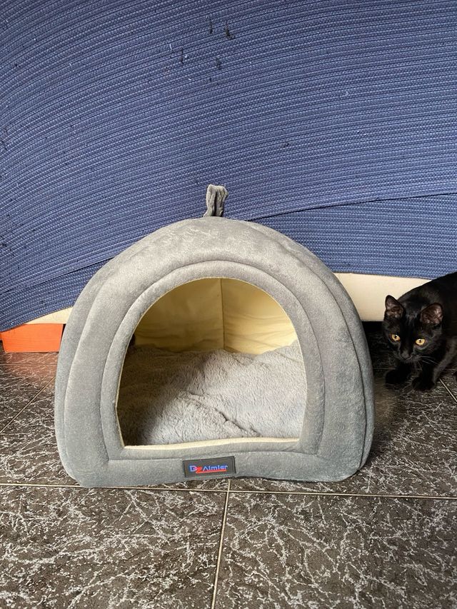 Casita para dormir para gatos