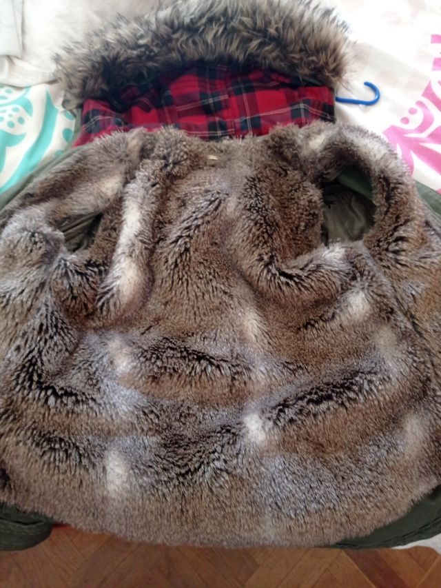 Parka Hilfiger Demin verde