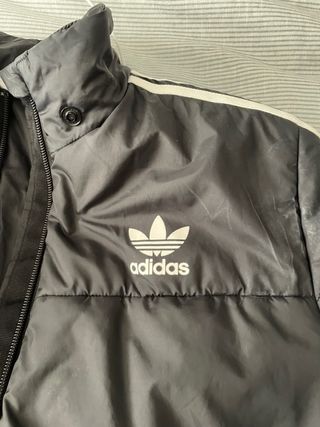 Chaqueta tipo bomber