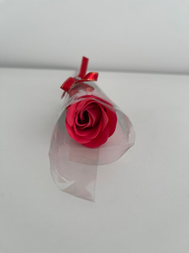 Presente/decoração rosa