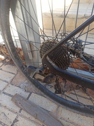 Bici cx 49 cm seraph