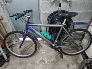 Bicicleta