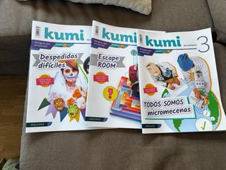 Proyecto Kumi 3 ESO : Todos somos micromecenas