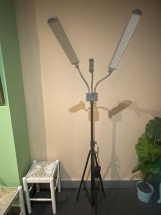 Foco tripode luz para fotografia