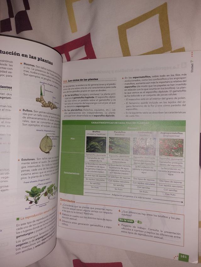 LIBRO ANAYA BACHILLERATO BIOLOGÍA Y GEOLOGÍA 1