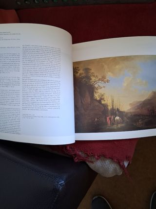 El siglo de oro del paisaje holandés