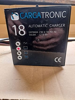 Cargador baterias 12v 