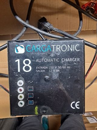 Cargador baterias 12v 