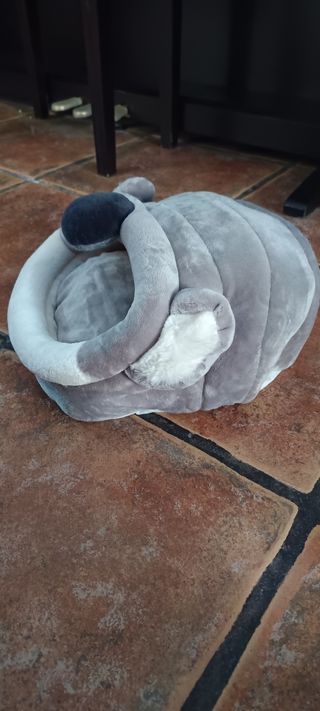 Cama para gatos o perros pequeños