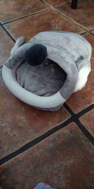 Cama para gatos o perros pequeños