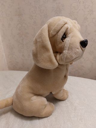 Peluche cane 