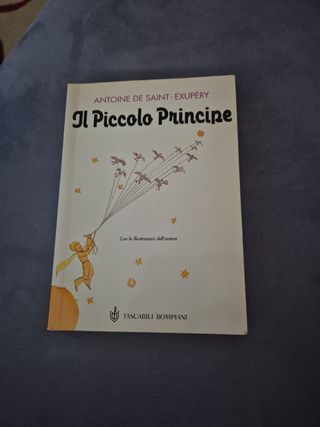 Il piccolo principe