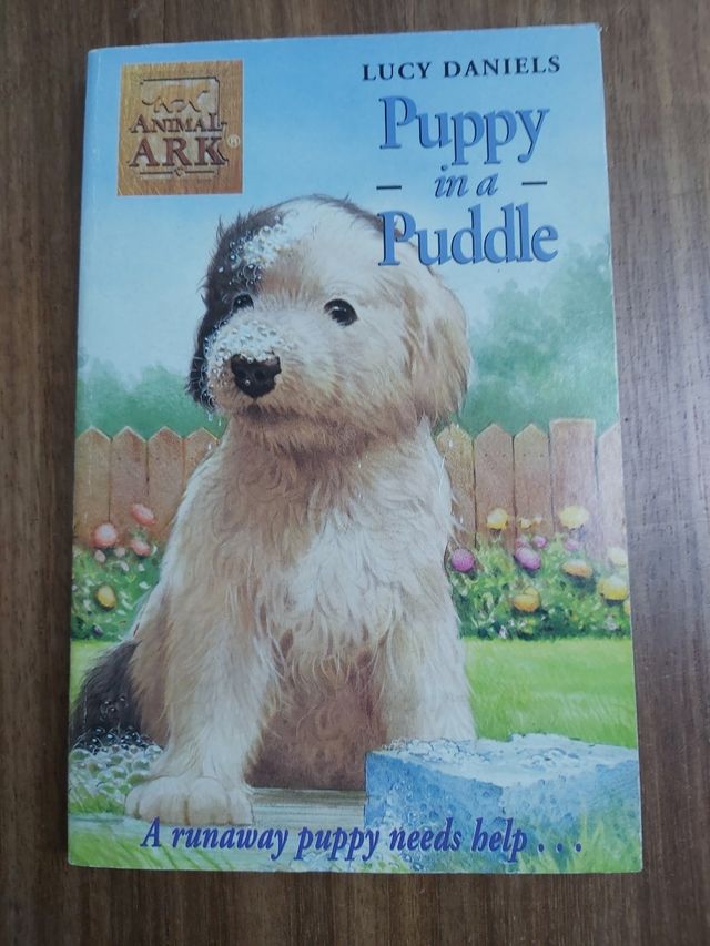 Libro juvenil inglés