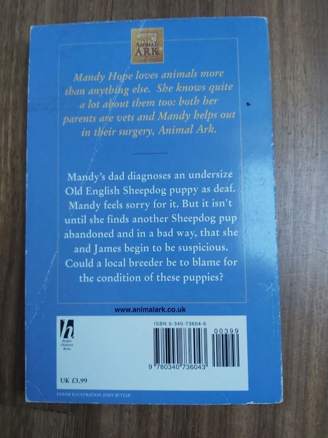 Libro juvenil inglés