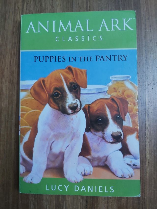 Libro juvenil inglés