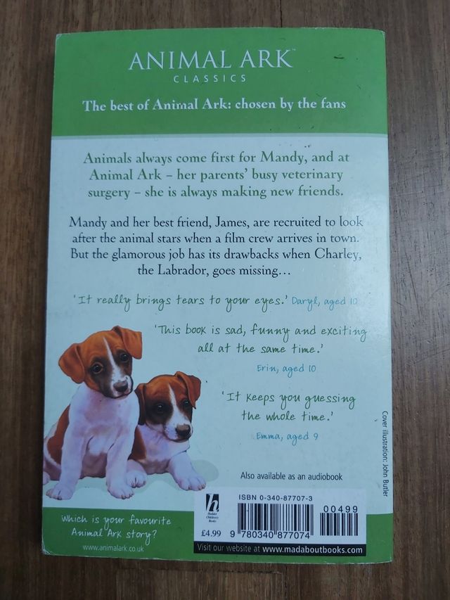 Libro juvenil inglés