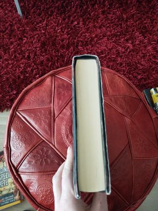 Il libro segreto di Dante (Nuova Narrativa Newton; 287)