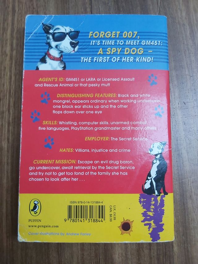 Libro juvenil inglés