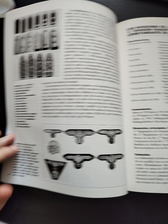 Divisiones Panzer De Las SS