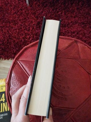 Il collezionista di quadri perduti