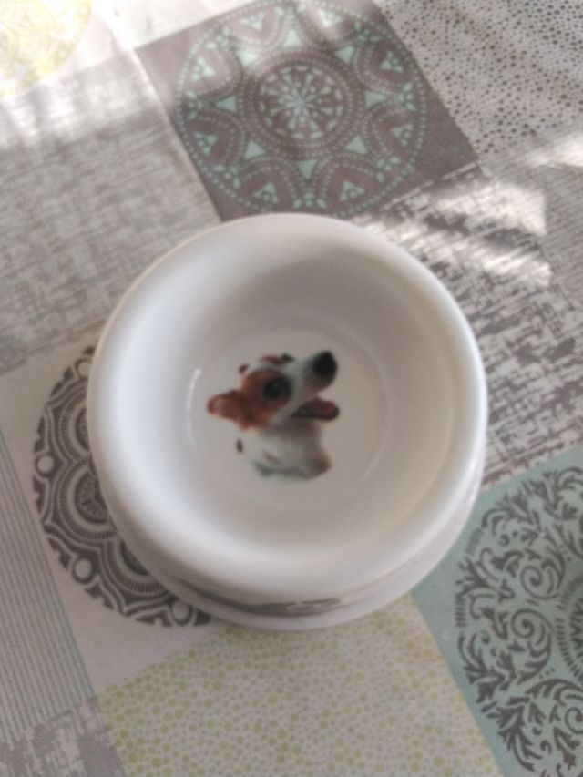 Precioso Plato para perro
