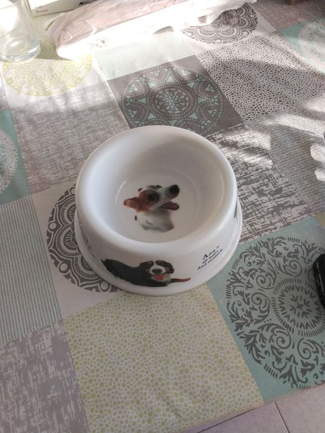 Precioso Plato para perro